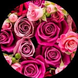 Pop Ups Various sizes style, but trendy